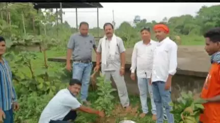 प्राथमिक कृषि साख सहकारी समिति देवरमाल में 'एक पेड़ मां के नाम' कार्यक्रम का आयोजन