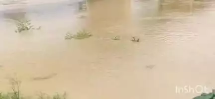 भिंड नगर: भिण्ड: क्वारी नदी का जल स्तर खतरे के निशान पर, प्रशासन ने आसपास के गांवों में जारी किया अलर्ट