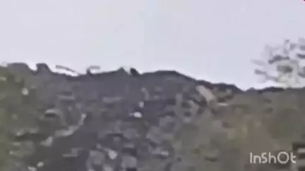 रेलमगरा: रेलमगरा के सिंदेसर खुर्द में पैंथर का आतंक, दहशत का माहौल, ग्रामीण सहमे