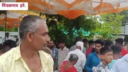 पाचोरा: पिंपळगाव हरेश्वर येथे आषाढी एकादशीनिमित्त पाचोरा चौफुलीवर भाविकांसाठी 10 क्विंटल साबुदाणा खिचडी व पेढे वाटप,