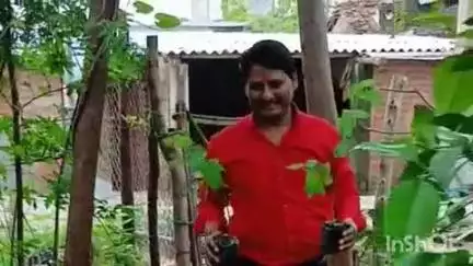 छतरपुर: निवारी मंडल अध्यक्ष पंकज रावत ने 'एक पेड़ मां के नाम' अभियान के तहत किया वृक्षारोपण!