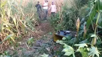छिबरामऊ: मलिकपुर के पास एक खेत में लगे ट्रांसफार्मर से तेल चोरों ने निकाला तेल, किसानों ने पुलिस को दी सूचना