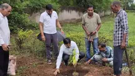 तखतपुर: बिलासपुर के सीसल कृषि क्षेत्र में फलदार पौधों का किया गया रोपण, किसान और कृषि विभाग के अधिकारी-कर्मचारी रहे मौजूद