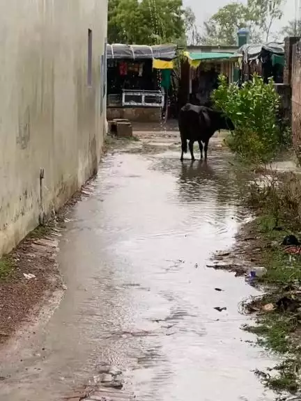 ग्राम खरुसा में प्रधान की लापरवाही से नाली फुल हो के रोड पर पानी पानी हो गया हैं घरों में पानी भरा हुआ हैं पूरे घर में पानी नाली ओवरलोड होने की कारण