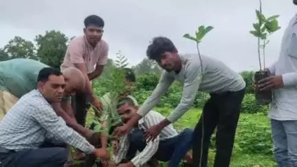 बैकुंठपुर: जिले में अंतरराष्ट्रीय सहकारिता दिवस के उपलक्ष्य में सभी समितियों में चलाया गया वृक्षारोपण कार्यक्रम