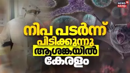 നിപ പടർന്ന് പിടിക്കുന്നു ;ആശങ്കയിൽ കേരളം | Nipah virus | Palakkad | Malappuram Nipah | Veena George
