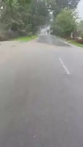 pachgaon ka khabar jila shehdol