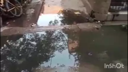 रायबरेली के वार्ड नंबर 23 चंद्र नगर में पूर्व प्राथमिक विद्यालय के सामने नाली का पानी जमा होने से लोगों को परेशानी