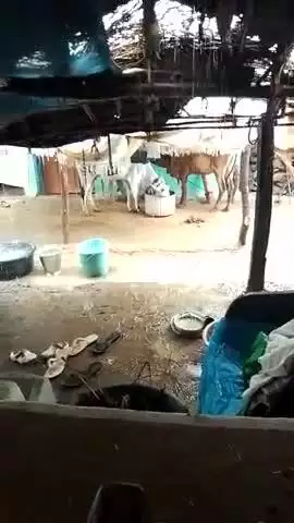 tej baris ke karad hamare ghar bhut samasya aa rahi h aap dekh sakhte ho sabhi