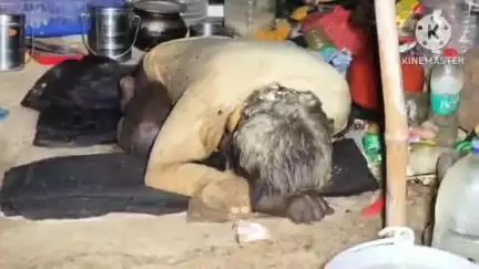 বাঁকুড়া ১: সরিষা দিঘির কলোনি থেকে এক জেল খাটা আসামির পচাগলা দেহ উদ্ধার, এলাকা জুড়ে চাঞ্চল্য