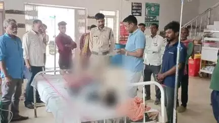 ग्राम पर्सवाहि में सो रहे किसान को जहरीले सांप ने काटा, अस्पताल में डॉक्टरों ने मृत घोषित किया