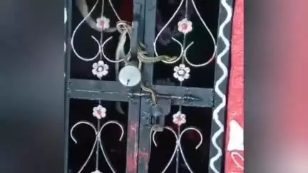ಚಿಂಚೋಳಿ: ಕನಕಪುರ ರೇಣುಕಾ ಯಲ್ಲಮ್ಮ ದೇವಸ್ಥಾನದಲ್ಲಿ ಏಕಕಾಲಕ್ಕೆ ಐದು ಸರ್ಪಗಳು ಪ್ರತ್ಯಕ್ಷ:  ಸಕತ್ ವೈರಲ್ ಆದ ದೃಶ್ಯಗಳು