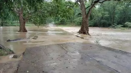 बालाघाट: चिखलाझोड़ी से डोरा मार्ग भारी बारिश से बंद, ग्रामीणों की बढ़ी परेशानी, संपर्क टूटा