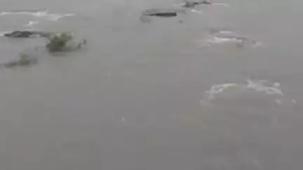 પાલીતાણા: શેત્રુંજી ડેમ ના તમામ દરવાજા ખોલાયા હતા જે બંધ કરવામાં આવ્યા ગામડાઓના લોકોને જાણ કરવામાં આવી