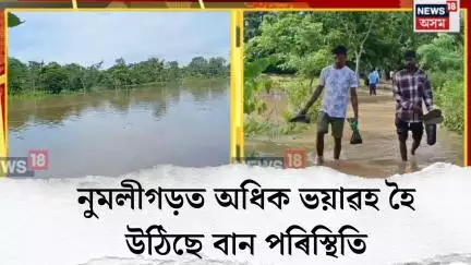 Numaligarh Flood news। নুমলীগড়ৰ মৰঙিত অধিক ভয়াবহ হৈ উঠিছে বান পৰিস্থিতি। N18V