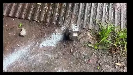 വടകര: കോഴിക്കോട് വളയത്ത് വ്യാപാര സ്ഥാപനത്തിന് മുന്നിൽ സ്റ്റീൽ ബോബ് കണ്ടെത്തി.