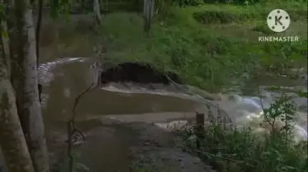 বোকাখাত: নুমলীগড়ৰ কেন্দুগুৰীত ধনশিৰিৰ বাঢ়নী পানীয়ে ভাঙি নিলে চুইছ গেট, দহ সহস্ৰাধিক ৰাইজৰ হাহাকাৰ #jansamasya