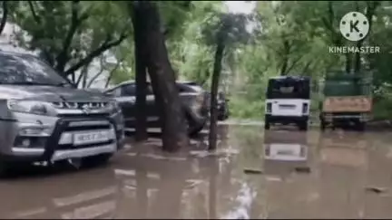 नारनौल: पिछले 12 घंटे में नारनौल शहर में हुई 84 एमएम बारिश, जगह-जगह हुआ जलभराव व दुकानों में भी घुसा पानी