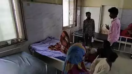 बीना: ग्राम हासल खेड़ी में सोते समय 80 वर्षीय वृद्ध को सांप ने डंसा, गंभीर हालत में सागर ज़िला अस्पताल रेफर