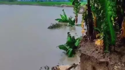 पीलीभीत: गांव श्रीनगर में शारदा नदी केले के खेत का कर रही कटान, किसान परेशान, वीडियो वायरल