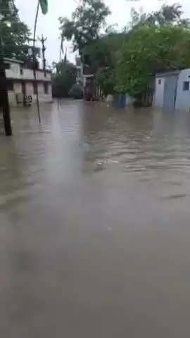 सोहागपुर: सोहागपुर में भारी बारिश से कई जगह जलभराव, जनजीवन अस्त-व्यस्त