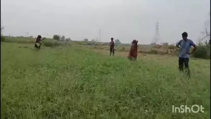एटा: नहचलपुर के पास जमीन के मामले में लड़ाई-झगड़ा और गाली-गलौज का वीडियो आया सामने, पीड़ित ने कहा- देते हैं जातीसूचक गालियां