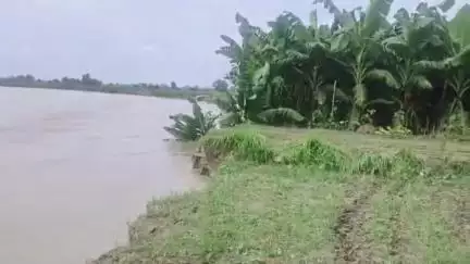 पूरनपुर: हजारा मे शारदा नदी मे समाई केले व धान की फसल ग्रामीणों ने राहत बचाव कार्य पर खानापूर्ति करने का लगाया आरोप