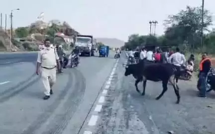 पनागर: एकता मार्केट के पास वारदात को अंजाम देने आ रहे बदमाश को पुलिस ने किया गिरफ्तार, पिस्टल और कारतूस जब्त