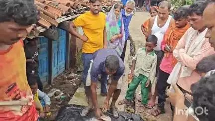 गढ़वा: रमकंडा बाजार में 15-20 किलो की मछली बनी आकर्षण, अनराज डैम से मछुआरों ने पकड़ी