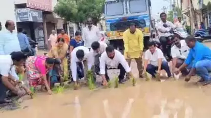 కామారెడ్డి: పట్టణంలో రోడ్లపై గుంతలు ఏర్పడడంతో ఆ గుంతలో వరి నాట్లు వేసిన కాలనీవాసులు #localissue