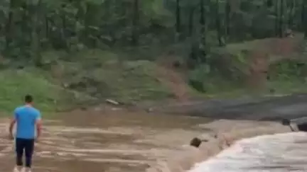 मंडला: नैनपुर-बालाघाट मार्ग पर भीम्मा नाला में बहा गाय का बछड़ा, आरक्षकों ने जान जोखिम में डालकर बचाई जान