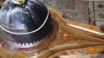 हुज़ूर: सिटी कोतवाली थाना क्षेत्र के फोर्ट रोड सराफा मार्केट स्थित शिव मंदिर में रात को चोरी
