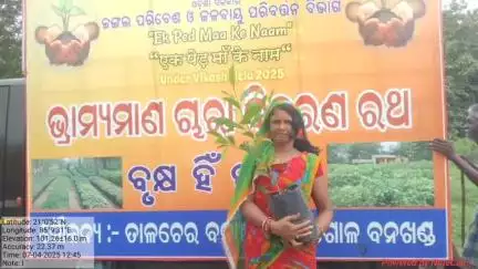 ତାଳଚେର ସଦର: ତାଳଚେର ବନାଞ୍ଚଳ ପକ୍ଷରୁ ବିଭିନ୍ନ ସ୍ଥାନରେ ଚାରା ବଣ୍ଟନ