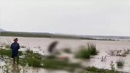 ଦେବଗଡ: ବାଲିରୋଇ ନିକଟ ବ୍ରାହ୍ମଣୀ ନଦୀ ରଜାକଟା ଘାଟରେ ଅଜଣା ବ୍ୟକ୍ତିଙ୍କ ଗଳିତ ଶବ ଉଦ୍ଧାର
