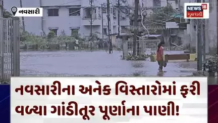 Navsari Rain News: નવસારીના અનેક વિસ્તારોમાં ફરી વળ્યા ગાંડીતૂર પૂર્ણાના પાણી | Weather | N18V