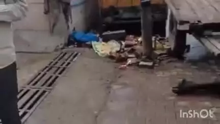 हापुड़: मोहल्ला चैनापुरी में विद्युत पोल में करंट उतरने से मवेशी की हुई मौत, बिजली विभाग की लापरवाही आई सामने