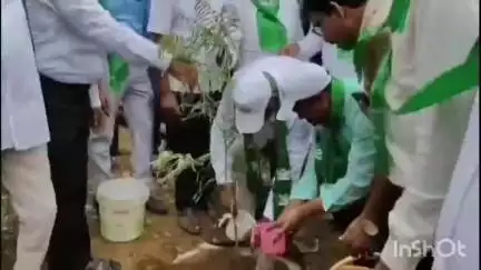 అశ్వారావుపేట: విద్యార్థులు,అధికారులతో కలిసి వనమోహత్సవం లో మొక్కలు నాటిన అశ్వారావుపేట ఎమ్మెల్యే జారే ఆదినారాయణ