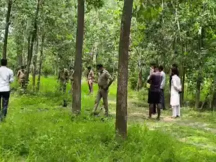 बेहट: बेहड़ा कला के जंगल में मिला अज्ञात व्यक्ति का शव, जानवरों ने शव को नोच खाया