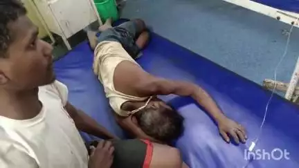 अशोक नगर: ललोई गांव में 52 वर्षीय व्यक्ति को जहरीले सांप ने डसा, गंभीर हालत में अस्पताल में भर्ती