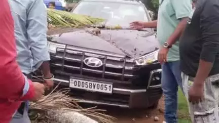 ବ୍ରହ୍ମଗିରି: ପୁରୀ ସାତପଡ଼ା ଜାତୀୟ ରାଜପଥ କୋଇଲାଅଡା ଛକ ନିକଟରେ ହଠାତ କାର ଉପରେ ପଡିଲା ନଡ଼ିଆ ଗଛ,ଡ୍ରାଇଭର ଆହତ