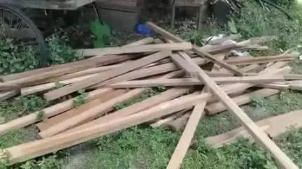 আলিপুরদুয়ার ২: চোরাই কাঠ ব্যবসায়ীদের ডেরা থেকে উদ্ধার প্রচুর কাঠ আতঙ্ক দামসিবাদ এলাকায়