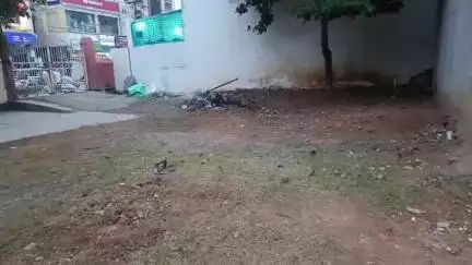తుని రాజా హైస్కూల్లో పెరిగిపోయిన పిచ్చి మొక్కలు తొలగించిన స్కూల్ యాజమాన్యం పబ్లిక్ యాప్ ఎఫెక్ట్ #localissue