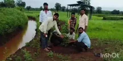 केवलारी: ग्राम दुधिया के मोक्षधाम में युवाओं ने 'एक पेड़ माँ के नाम' से किया वृक्षारोपण