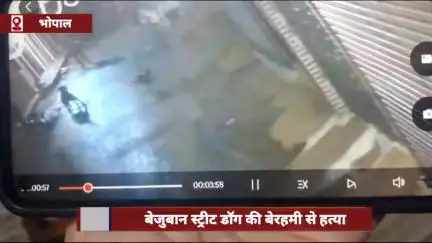 भोपाल में बेजुबान स्ट्रीट डॉग की बेरहमी से हत्या, आरोपी ने डंडे से पीट-पीटकर मार डाला