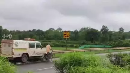 ତଲସରା: ମରଚିମୁଣ୍ଡା ନିକଟରେ ଅଜଣା ଗାଡ଼ି ଧକ୍କା ରେ ୩ ଗାଈ ମୃତ ଯୁବଗୋଷ୍ଠୀ ଙ୍କ ମଧ୍ୟରେ ଅସନ୍ତୋଷ