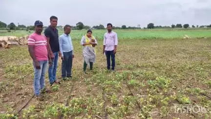 బాల్కొండ: నష్టపోయిన సొయా పంటను రైతులతో కలిసి పరిశీలించిన DAO వీరస్వామి,,MAO రమ్యశ్రీ