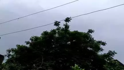 यवतमाळ: जिल्ह्यात ७ आणि ८ जुलै रोजी हवामान विभागाचा येलो अलर्ट