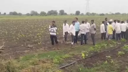 बसमत: पिंपळाचौरे परिसरात शक्तिपीठ महामार्गासाठी शेतीच्या मोजणीला अखेर आज झाली सुरुवात