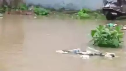 बिलासपुर: झमाझम बारिश से शहर के कई इलाकों में बाढ़ जैसे हालात, निचली बस्तियों और कॉलोनियों के घरों में घुसा पानी
