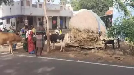 வலங்கைமான்: கோமாரி நோய் தடுப்பூசி முகாம் வள்ளிகாடு கிராமத்தில் நடைபெற்றது - ஏராளமானோர் தங்களின் கால்நடையுடன் பங்கேற்பு
